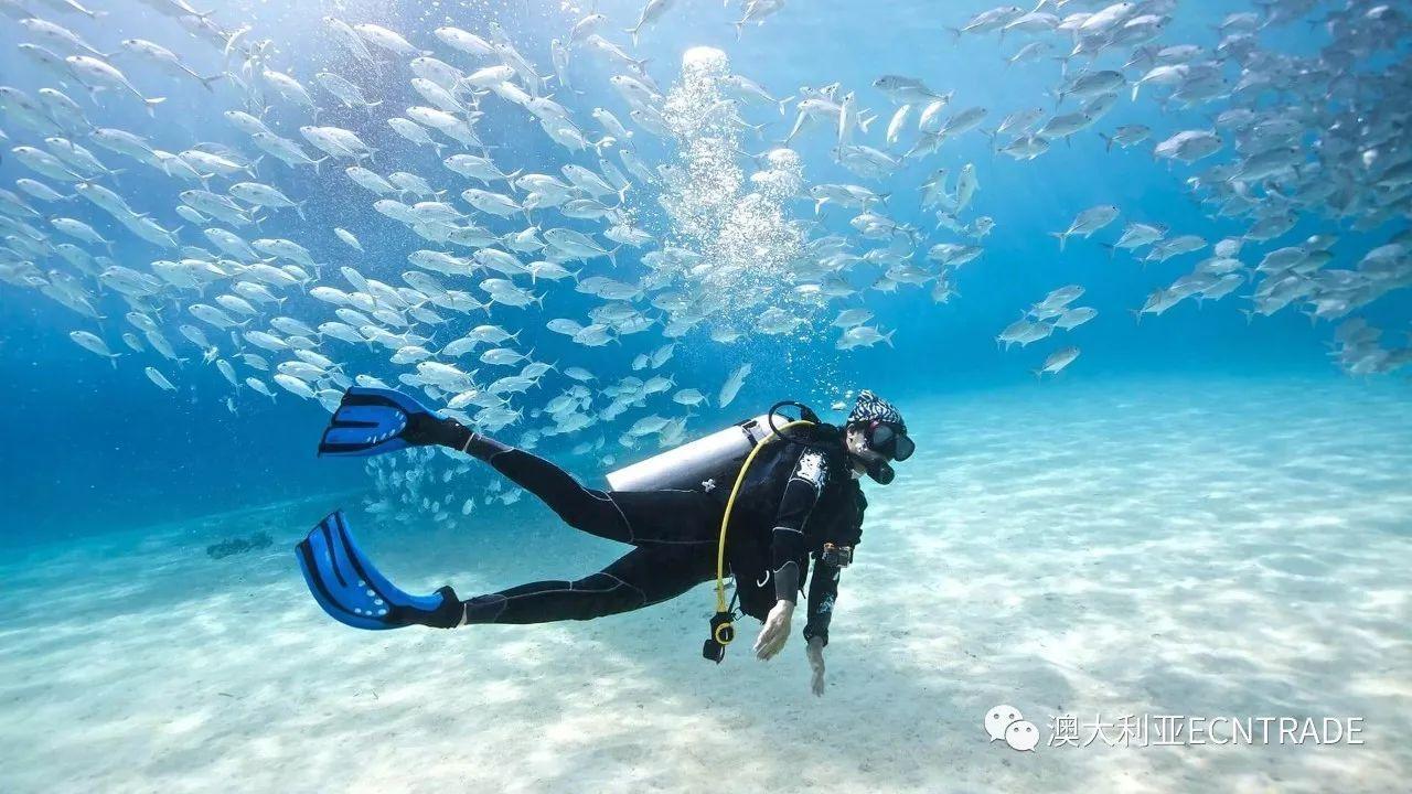 萌新水果连连看